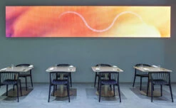 Newood Chair With Wood Seat 9 Newood Chair With Wood Seat -Fritz Hansen Sales newood chair wood seat brogliato traverso cappellini 4