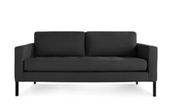 Paramount 66 Inch Sofa