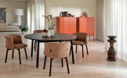 Peg Dining Chair -Fritz Hansen Sales peg chair nendo cappellini 5